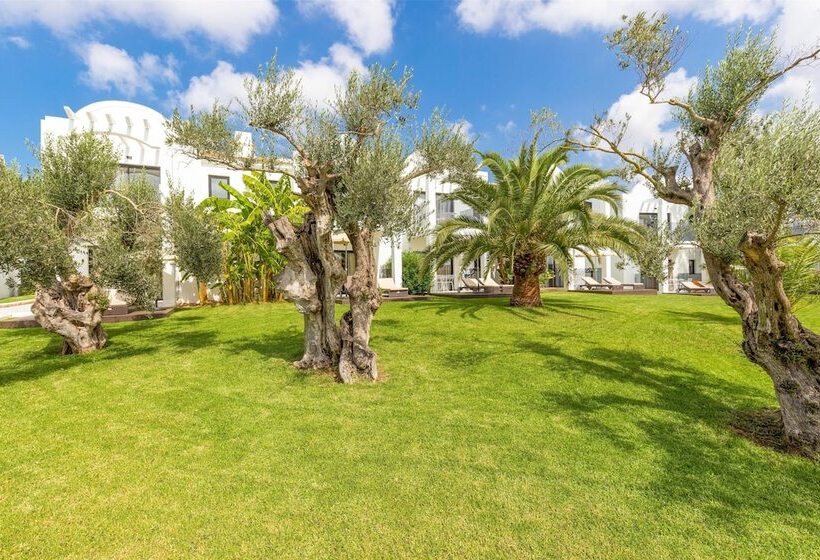 Marsenses Paradise Club