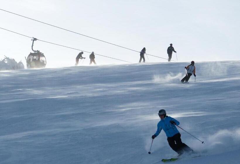 Alm Appartements Ehemals Birkenhof