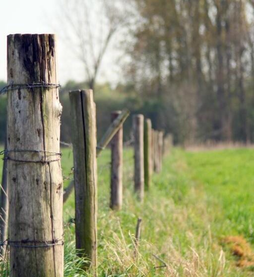 Alm Appartements Ehemals Birkenhof