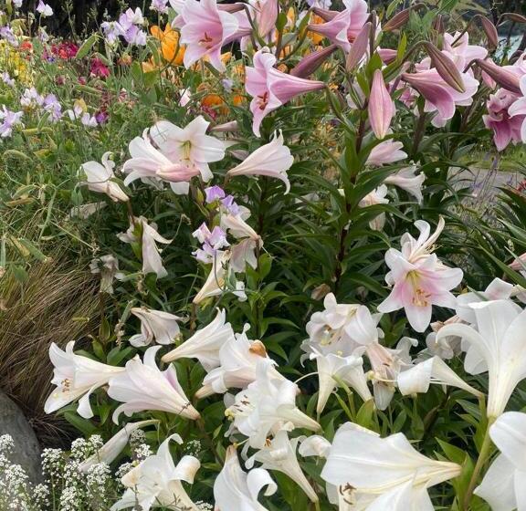 민박 The Rectangle Apartment, Akaroa
