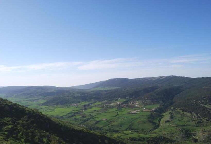 Отель Albergo Casa Del Pellegrino