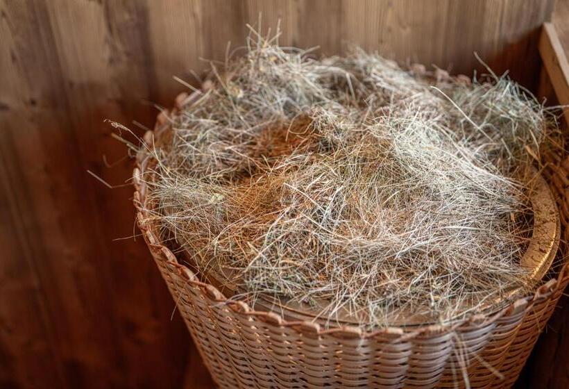 هتل Albergo Garni Edy