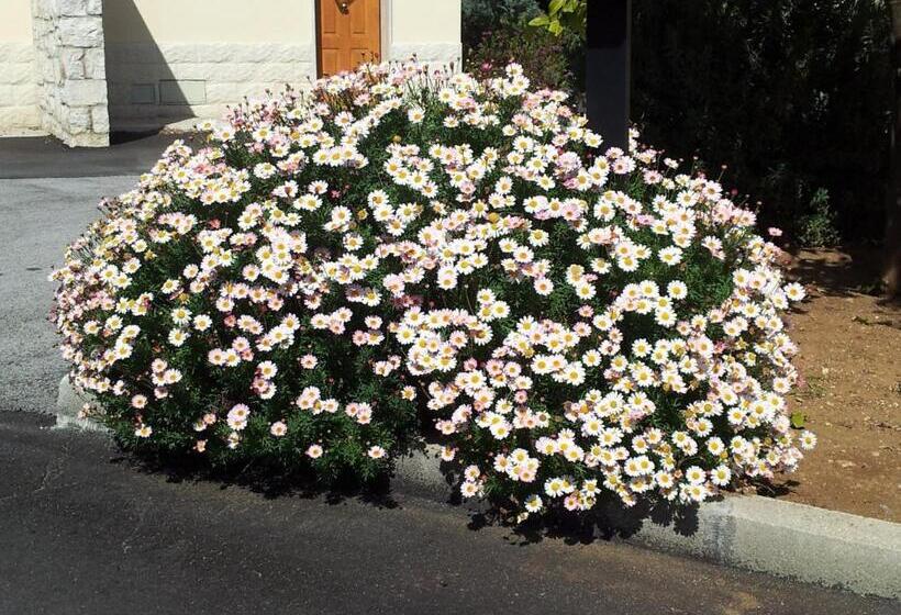 בית מלון כפרי Giardino