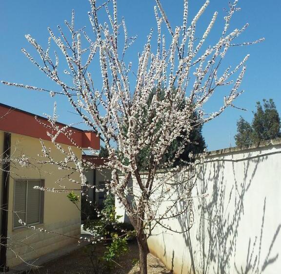 בית מלון כפרי Giardino