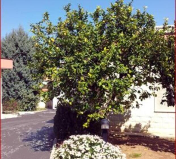 בית מלון כפרי Giardino