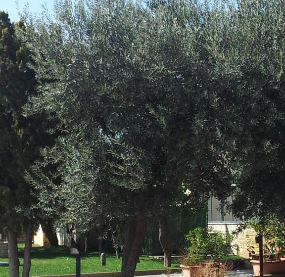 בית מלון כפרי Giardino