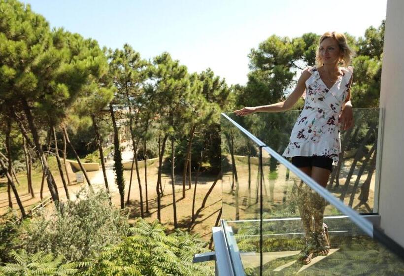 בית מלון כפרי Krone