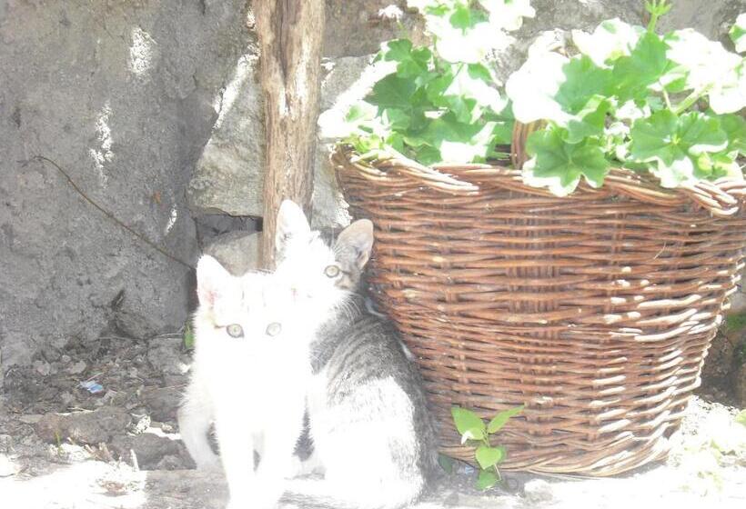 ペンション Casa De Oria