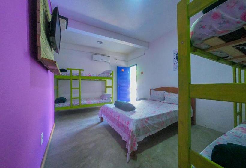 פנסיון La Gloria House