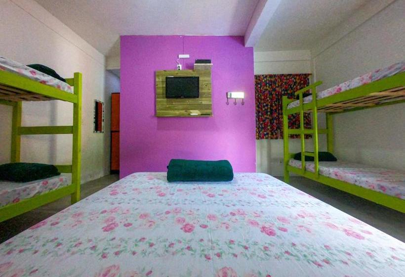 פנסיון La Gloria House