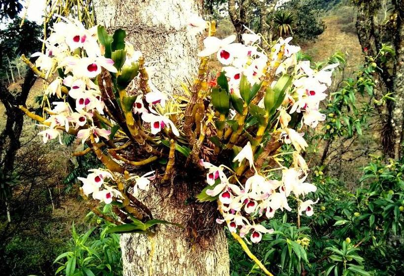 Пансион Pousada Amor Perfeito