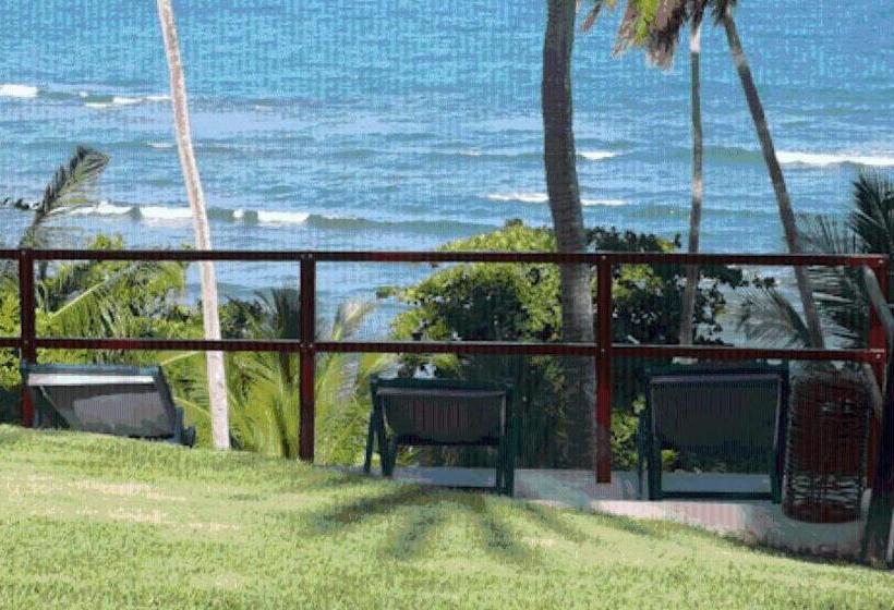 ペンション Pousada Da Luz Carapibus