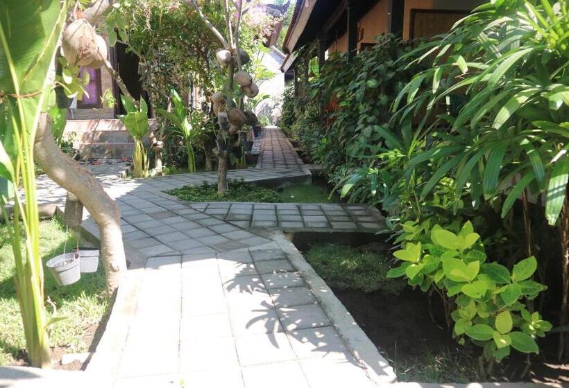 פנסיון Putu Guest House Pemuteran