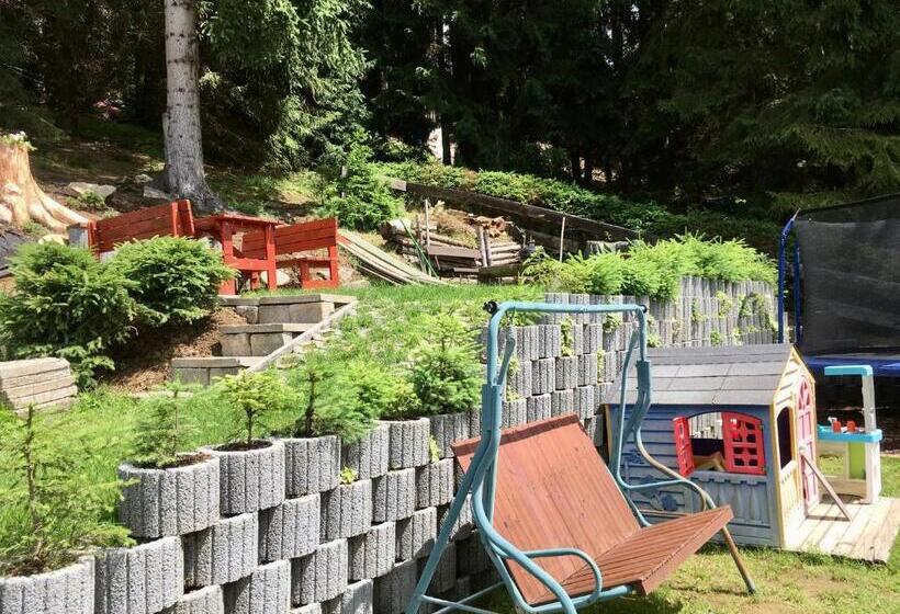 پانسیون Ubytovani Haasova