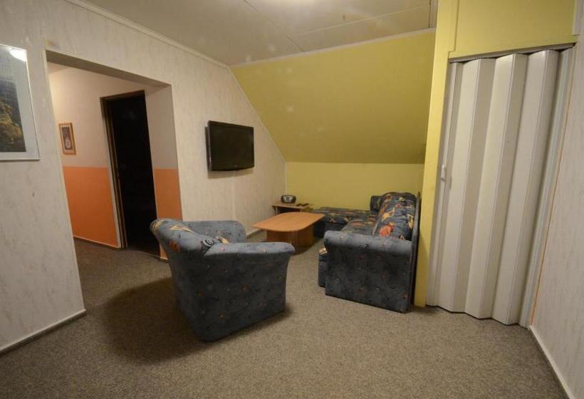 پانسیون Ubytovani Haasova