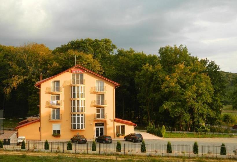 بنسيون Metropol