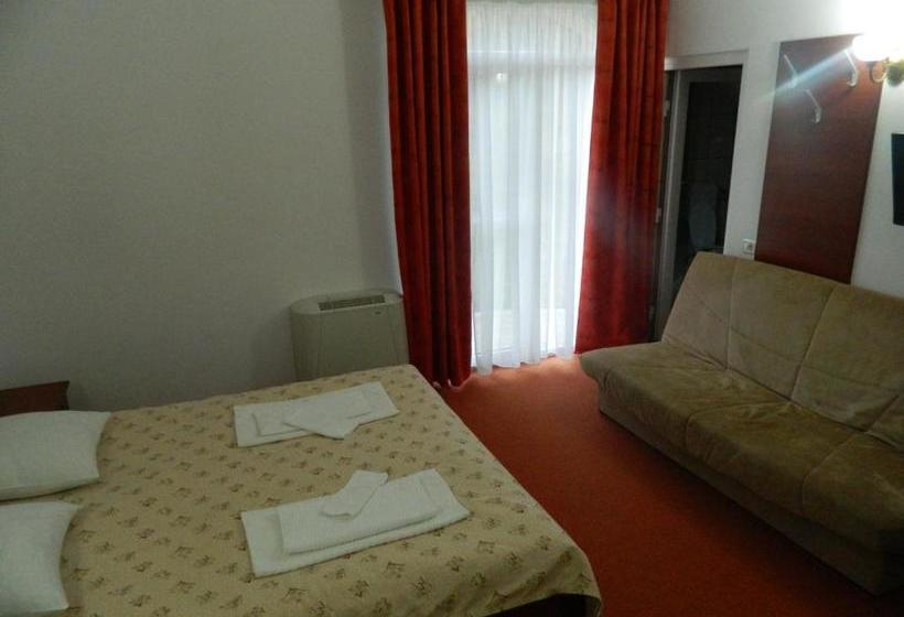 بنسيون Metropol