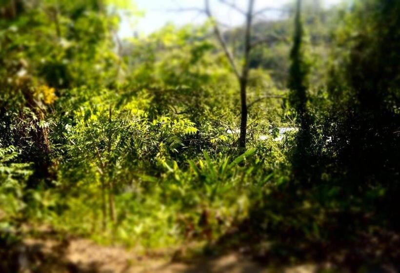 Villa Privada Con Jacuzzi Herradura Jaco