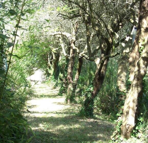 Agriturismo La Casa Della Lavanda  Il Casale