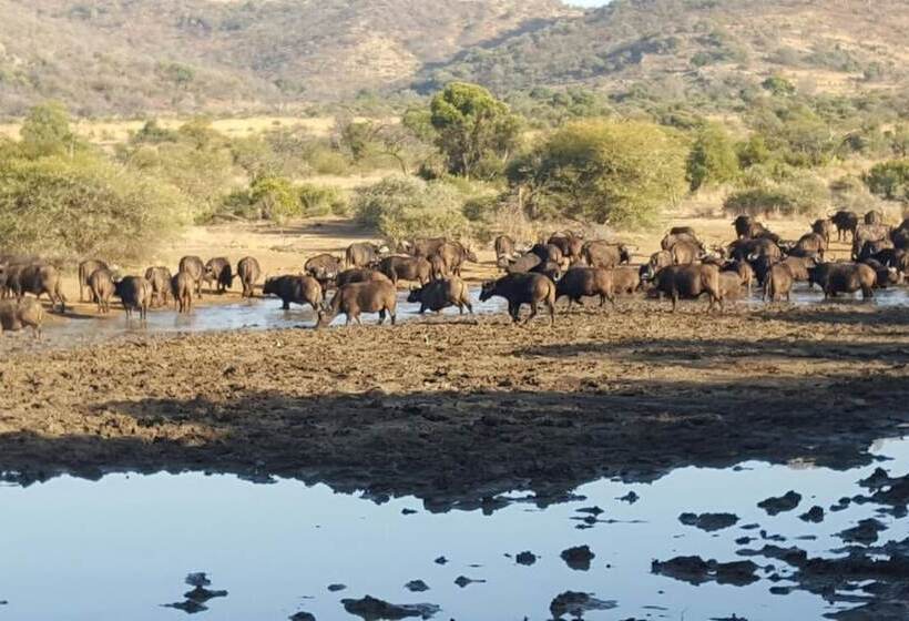 Golden Leopard Resorts Bakgatla Resort