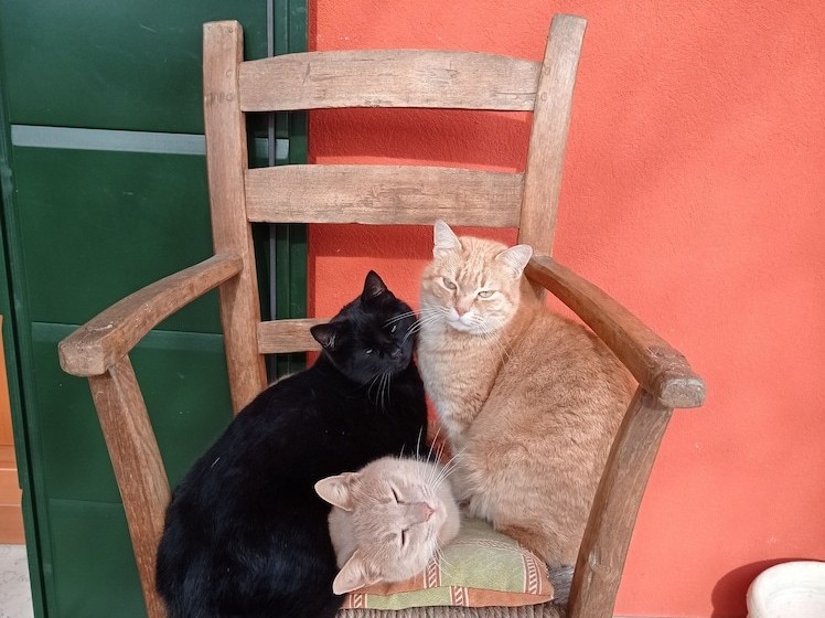 酒店 Borgo D Asolo