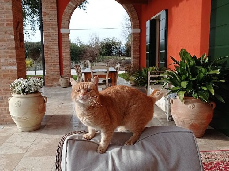 酒店 Borgo D Asolo