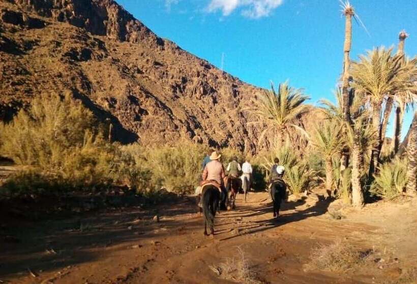 ホテル Auberge Des Cavaliers Du Todra