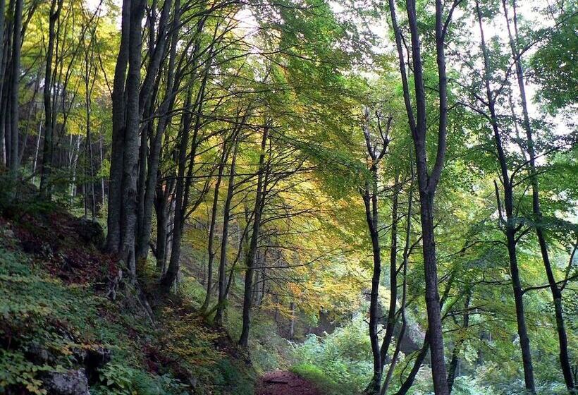 בית מלון כפרי B&b Le Pietre Ricce