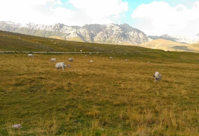 בית מלון כפרי B&b Le Pietre Ricce