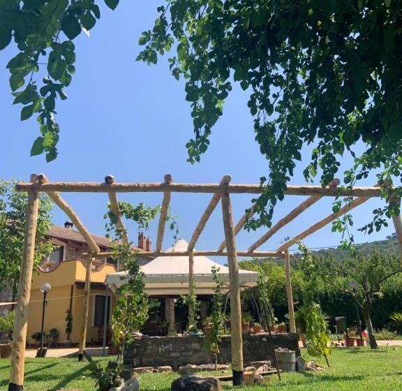 Отель B&b Panta Rei