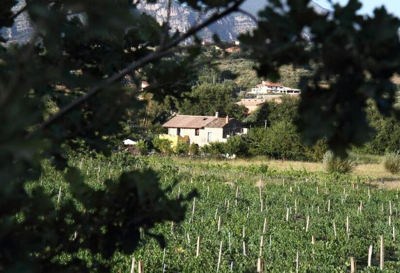 ホテル B&b Panta Rei