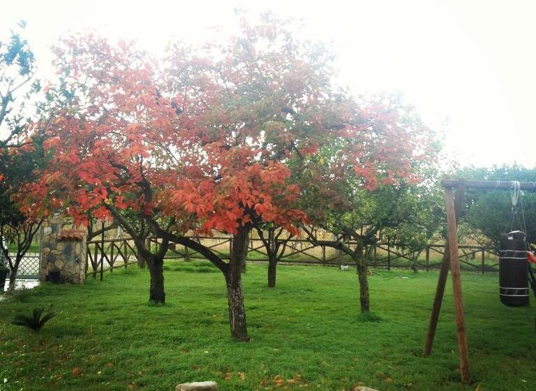 Отель B&b Panta Rei