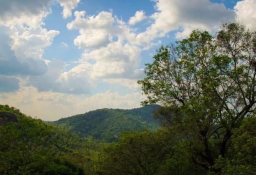 호텔 Birds Park Polgahawela