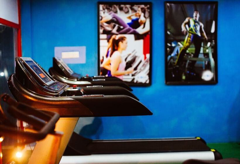 Отель Cozy Sea View Inn