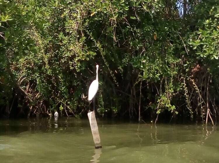 فندق Gloriya Mathews