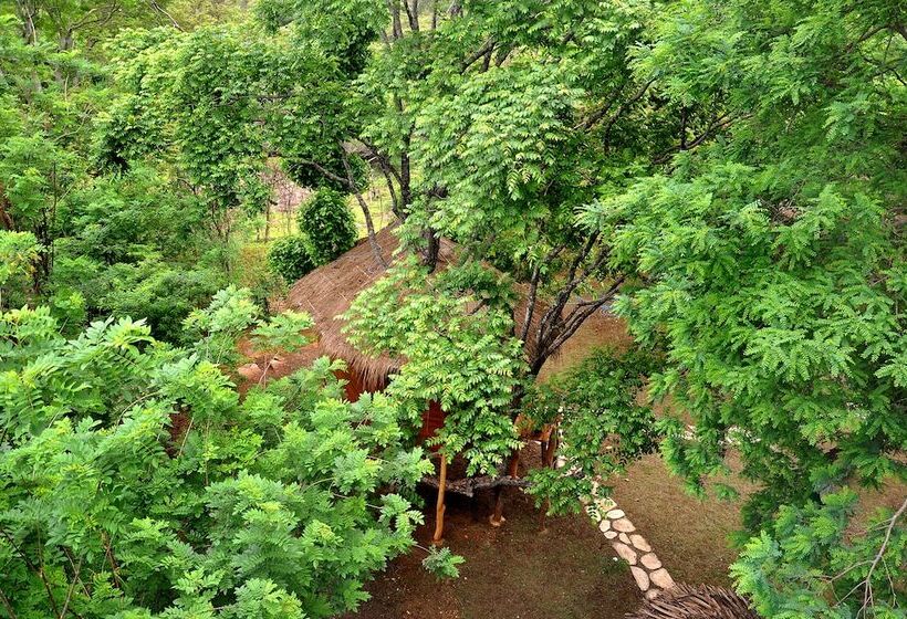 Отель La Pentera