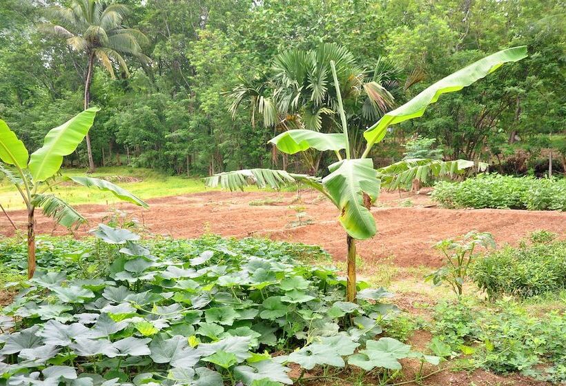 Отель La Pentera