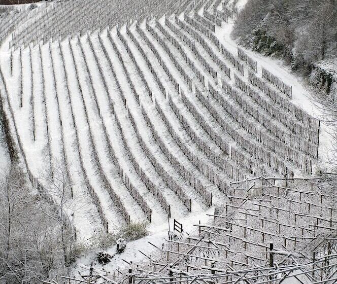 فندق Maso Franch