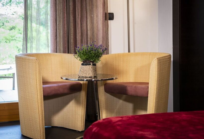 فندق Maso Franch