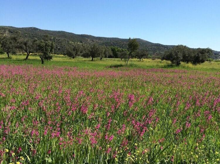 בית מלון כפרי Methanion