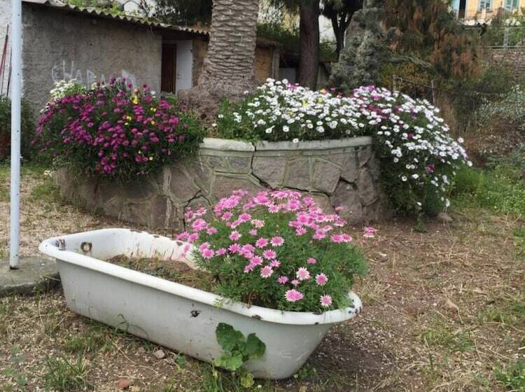 בית מלון כפרי Methanion