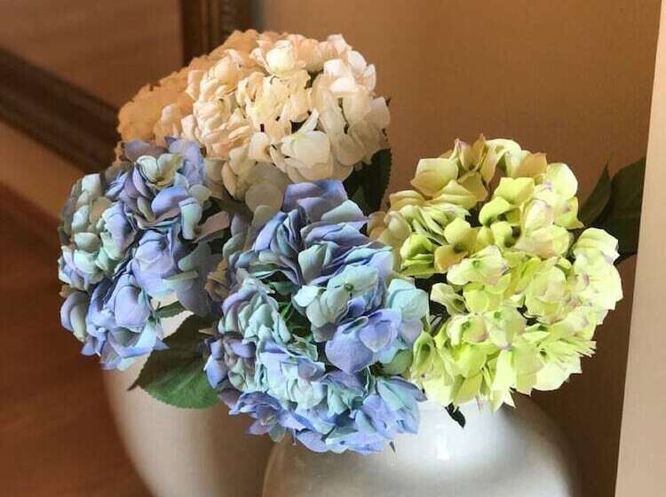 בית מלון כפרי Methanion