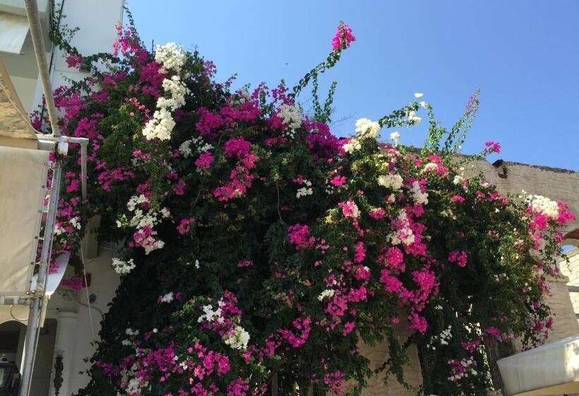 בית מלון כפרי Methanion