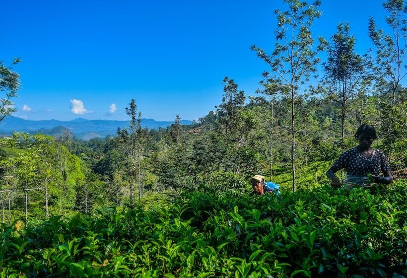 酒店 Mf Estate Holiday Bungalow