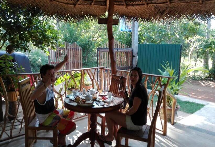 ホテル Turtle Paradise