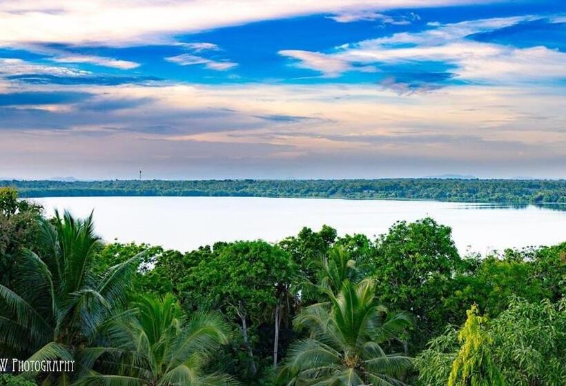 ホテル Turtle Paradise