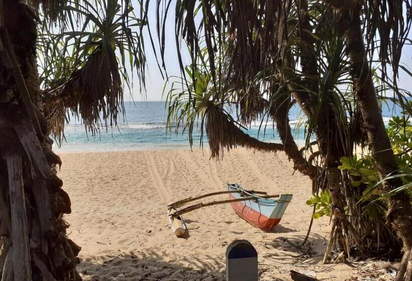 ホテル Turtle Paradise