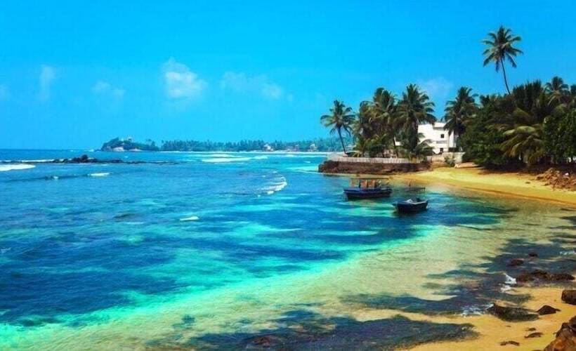 ホテル Turtle Paradise