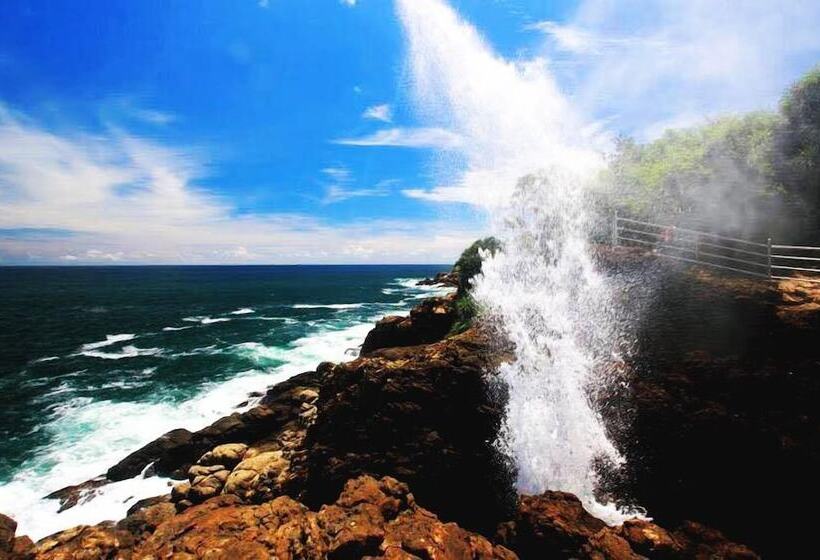 ホテル Turtle Paradise