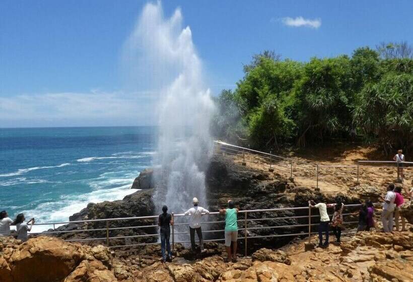 ホテル Turtle Paradise